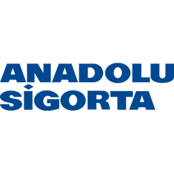 Anadolu Sigorta